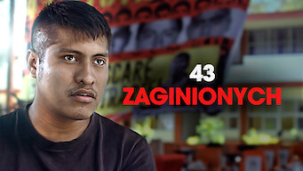 43 zaginionych (2019)